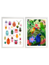 Load image into Gallery viewer, Tropical Parrot Print