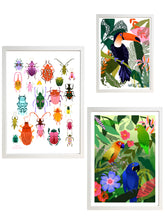 Load image into Gallery viewer, Toucan Print