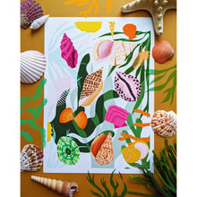 Load image into Gallery viewer, Seashell Print
