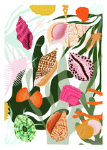 Load image into Gallery viewer, Seashell Print
