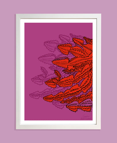 Framed bold  pink and red cactus print 